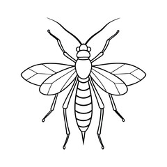 Scorpionfly (Mecoptera) sector design, labeled line art vector illustration.