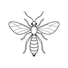 Scorpionfly (Mecoptera) sector design, labeled line art vector illustration.