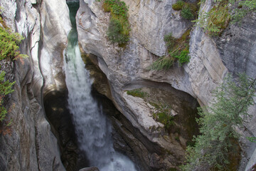 Maligne Canyon in the Summer
