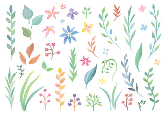 透明感のある水彩手描きの植物セット