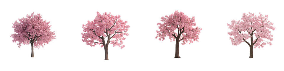 Obraz premium A 3D model of a Sakura tree with pink blossoms and a brown trunk, set against a white background.