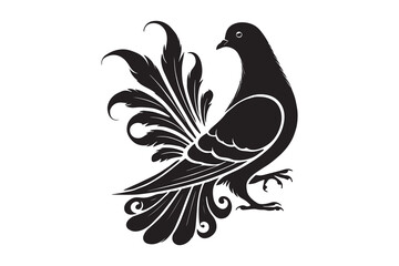 pigeon silhouette and vector