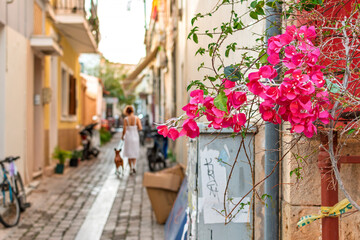 A Greek woman and her dog walk down a narrow cobblestone alley in the historic old town of Aegina,...