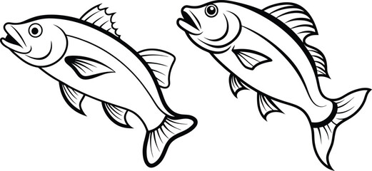 fish on a white background