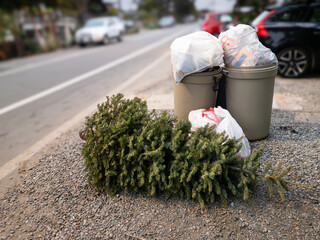 Discarded Christmas tree near garbage bins along a residential street background