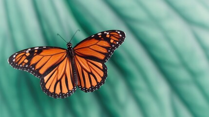 Fototapeta premium Abstract representation of a butterfly emerging from a cocoon, symbolizing the transformative process of personal growth, self-improvement, and the achievement of set goals, with space for text