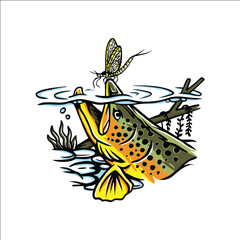 A fish is biting a bug. The fish is brown and the bug is yellow