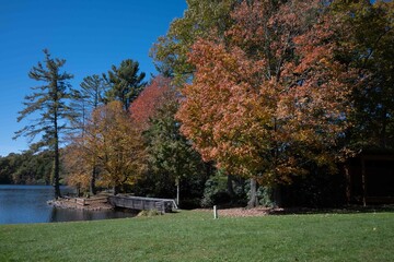 Obraz premium Woman photographer with camera with white background 