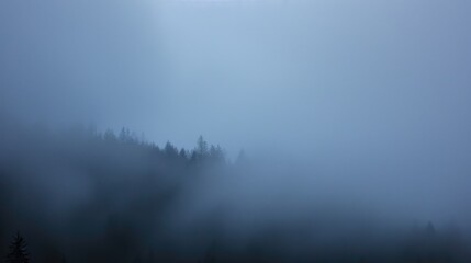 A misty forest landscape shrouded in fog, creating a serene and mysterious atmosphere.