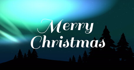 Image of christmas greetings text over christmas winter scenery © vectorfusionart
