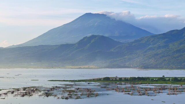 Rawa Pening Lake with fish cages and mountain in background, aerial drone view