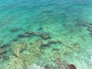 coral reef and sea