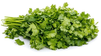 Obraz premium An artistic close-up of a fresh cilantro bunch, emphasizing its feathery leaves and strong aroma, captured with crystal clarity on a smooth white backdrop. The image projects a sense of freshness and