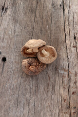 Shiitake mushroom on wooden table