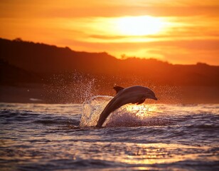 Fototapeta premium A luminous dolphin leaps out of glowing waves at sunset, surrounded by radiant water splashes and soft mist. 