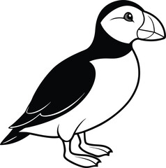 black and white bird