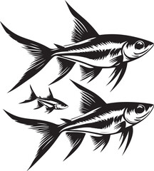 black and white fish