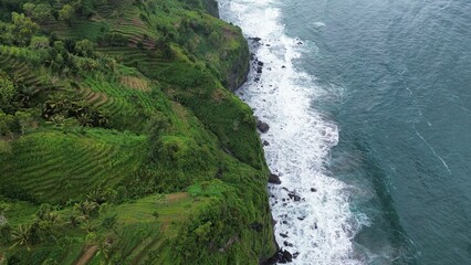 Aerial drone view of coastline with hills and trees, as well as view of coral cliffs and sea with...