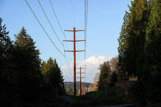 Part of the completed Energize Eastside upgrade to 230 kV overhead power line distribution system project, high-tension power lines on monopole pylon towers
