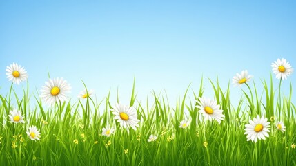 A fresh spring background with soft green grass and scattered colorful wildflowers under a bright blue sky.