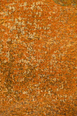 Closeup rust detail in bright orange, as a textured oxidized metal abstract background
