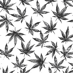 Cannabis Leaves Pattern Design Isolated on Transparent Background