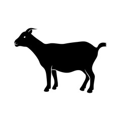 Vector black line icon for Goat