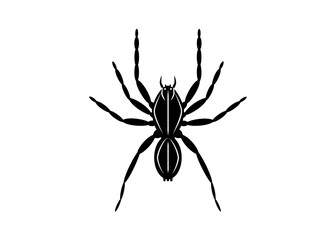 Vector black line icon for Spider