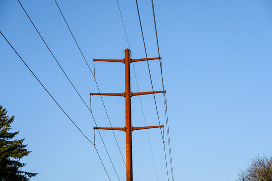 Part of the completed Energize Eastside upgrade to 230 kV overhead power line distribution system project, high-tension power lines on monopole pylon towers

