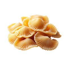 Delicious pasta shells food photography Transparent Background.