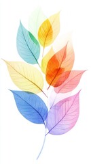 Fototapeta premium A Colorful Rainbow Leaf Arrangement: An Artistic Floral Design