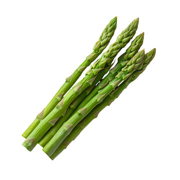Fresh green asparagus bunch Transparent Background.