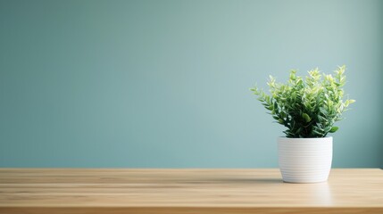 Fototapeta premium Small green plant decorating a wooden table against a light teal background