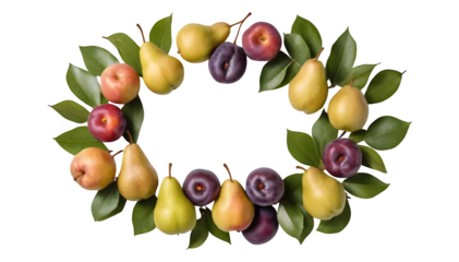 A fresh composition of Pear (Pyrus communis) and Plum (Prunus domestica) styled in a circular shape on white.