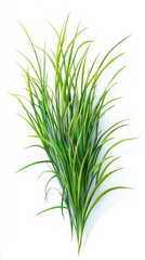 Fototapeta premium A Lush Green Grass Bunch Captivating the Eye with its Vibrant Hues and Detailed Texture. A Stunning Visual of Nature's Beauty.