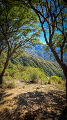 Fototapeta premium Paisaje