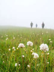 Pastel Morning Hike Tranquil Walkers in Misty Meadow at Sunrise