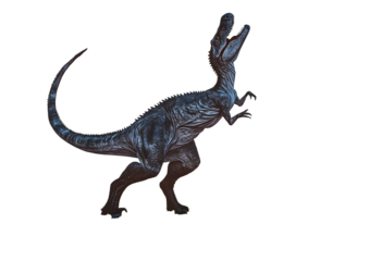 giganotosaurus is doing a fight pose on sunset desert