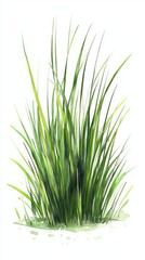 Obraz premium A Vibrant Watercolor Painting of Lush Green Grass, Perfect for Nature Lovers and Botanical Art Enthusiasts