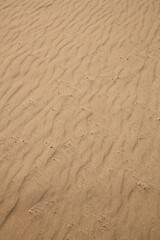 秋の鳥取砂丘とその紋様 鳥取県 鳥取砂丘