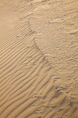 秋の鳥取砂丘とその紋様 鳥取県 鳥取砂丘