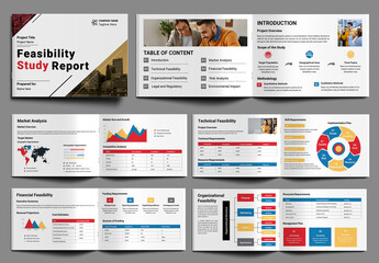 Feasibility Study Report