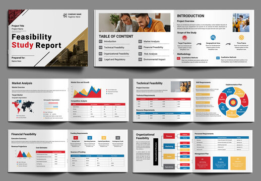 Feasibility Study Report