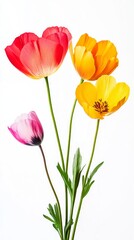 A Delicate Bouquet of Vibrant Spring Flowers