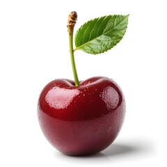 Realistic Cherry Rendering With Hughley Lighting