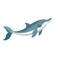 Beluga Sturgeon under water animal isolated flat vector illustration on white background.