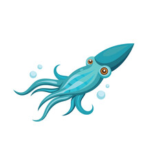  Argentine Shortfin Squid under water isolated flat vector illustration on white background.