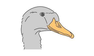 line art color of swan illustration