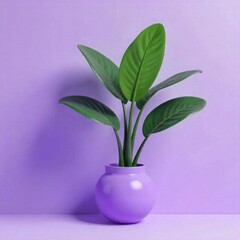  Green tropical plant in purple vase against purple background, studio