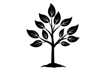 A black and white drawing of a plant with a mustache
. Seedling vector. Money Tree icon vector. Plant icon. Leaf icon. Sprout icon